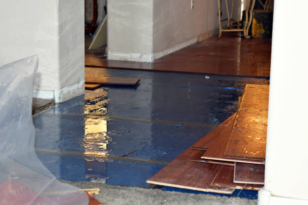 Professional Basement Flood Cleanup technician working in East Dixfield, ME